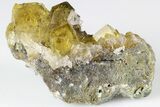 Gemmy, Yellow, Cubic Fluorite Cluster - Moscona Mine, Spain #188271-1